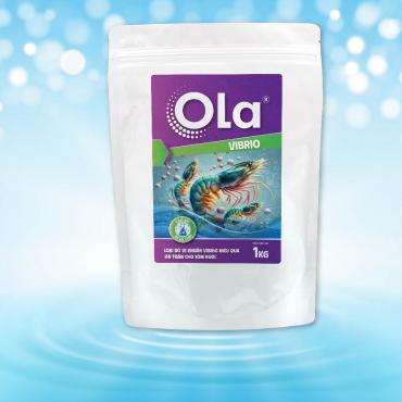 OLA VIBRIO