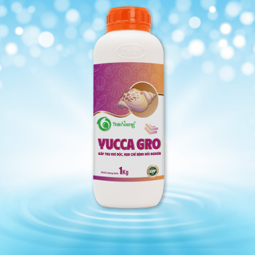 YUCCA GRO
