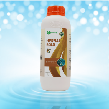 HERBAL GOLD