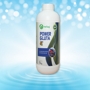 POWER GLUTA