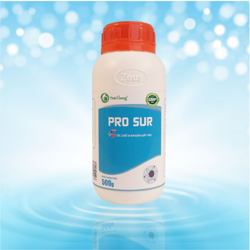 PRO SUR