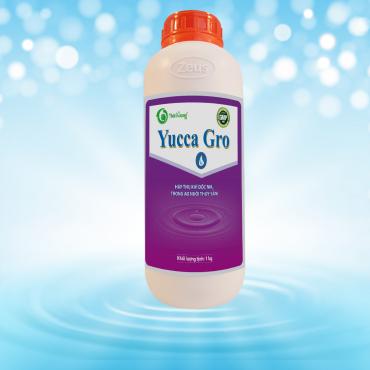 YUCCA GRO